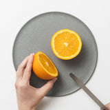 日本KAWABE CHOPLATE 兩用砧板餐盤 - 22cm