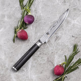 日本 旬 Classic系列 VG-MAX 33層大馬士革紋 牛扒刀 120mm